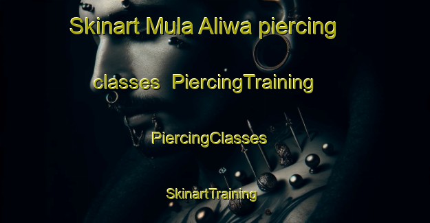 Skinart Mula Aliwa piercing classes | PiercingTraining | PiercingClasses | SkinartTraining-Pakistan