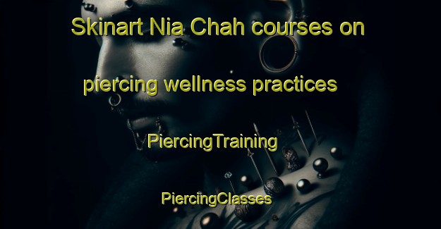Skinart Nia Chah courses on piercing wellness practices | PiercingTraining | PiercingClasses | SkinartTraining-Pakistan