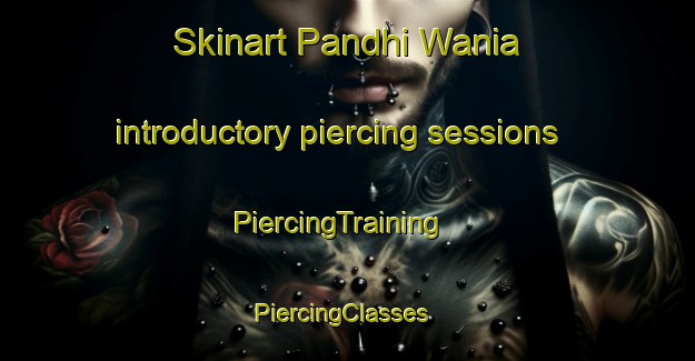 Skinart Pandhi Wania introductory piercing sessions | PiercingTraining | PiercingClasses | SkinartTraining-Pakistan