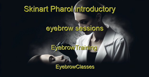 Skinart Pharol introductory eyebrow sessions | EyebrowTraining | EyebrowClasses | SkinartTraining-Pakistan