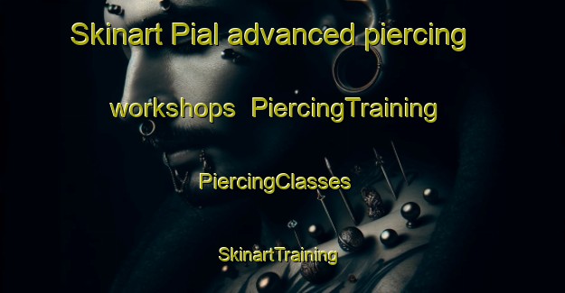 Skinart Pial advanced piercing workshops | PiercingTraining | PiercingClasses | SkinartTraining-Pakistan