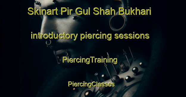 Skinart Pir Gul Shah Bukhari introductory piercing sessions | PiercingTraining | PiercingClasses | SkinartTraining-Pakistan