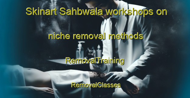 Skinart Sahbwala workshops on niche removal methods | RemovalTraining | RemovalClasses | SkinartTraining-Pakistan