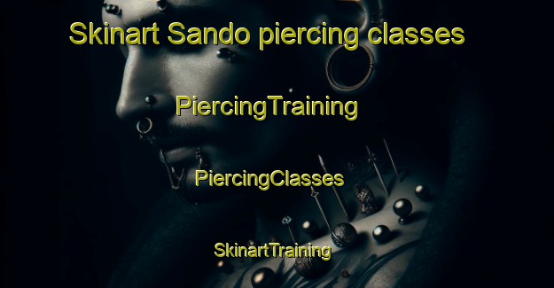 Skinart Sando piercing classes | PiercingTraining | PiercingClasses | SkinartTraining-Pakistan