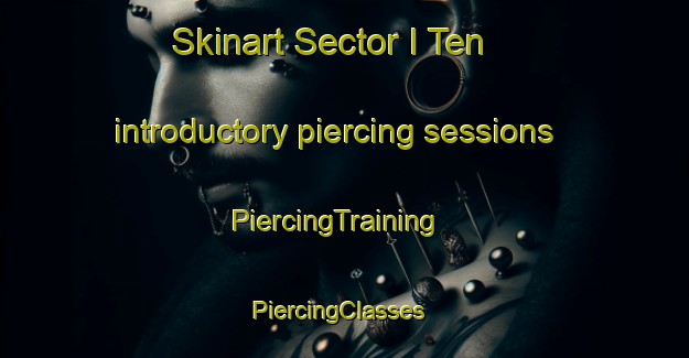 Skinart Sector I Ten introductory piercing sessions | PiercingTraining | PiercingClasses | SkinartTraining-Pakistan