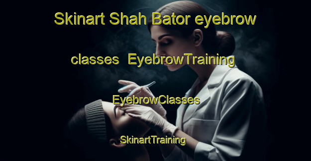 Skinart Shah Bator eyebrow classes | EyebrowTraining | EyebrowClasses | SkinartTraining-Pakistan