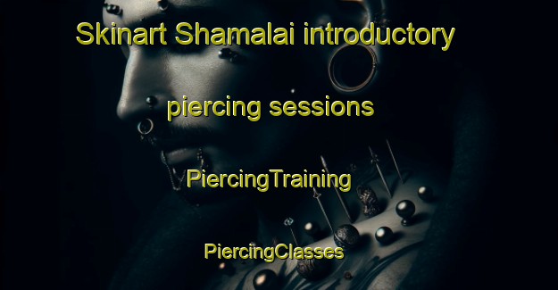 Skinart Shamalai introductory piercing sessions | PiercingTraining | PiercingClasses | SkinartTraining-Pakistan