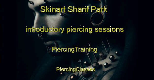 Skinart Sharif Park introductory piercing sessions | PiercingTraining | PiercingClasses | SkinartTraining-Pakistan