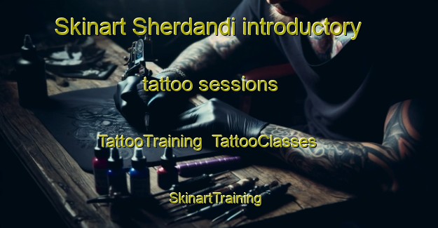 Skinart Sherdandi introductory tattoo sessions | TattooTraining | TattooClasses | SkinartTraining-Pakistan
