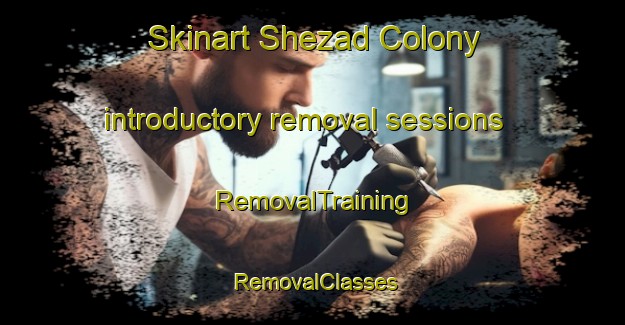 Skinart Shezad Colony introductory removal sessions | RemovalTraining | RemovalClasses | SkinartTraining-Pakistan