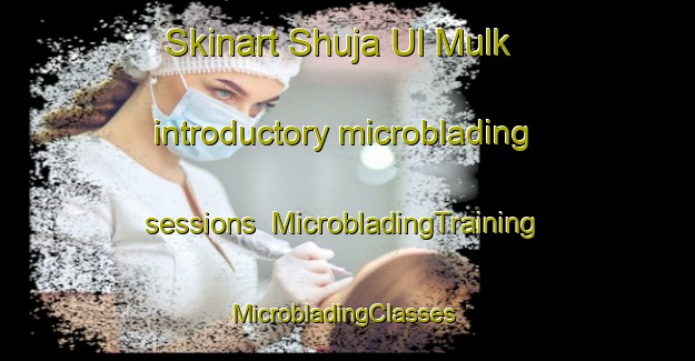 Skinart Shuja Ul Mulk introductory microblading sessions | MicrobladingTraining | MicrobladingClasses | SkinartTraining-Pakistan