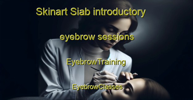 Skinart Siab introductory eyebrow sessions | EyebrowTraining | EyebrowClasses | SkinartTraining-Pakistan