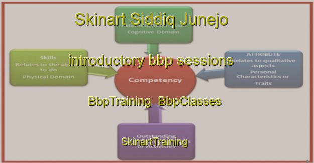 Skinart Siddiq Junejo introductory bbp sessions | BbpTraining | BbpClasses | SkinartTraining-Pakistan