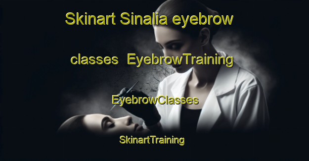 Skinart Sinalia eyebrow classes | EyebrowTraining | EyebrowClasses | SkinartTraining-Pakistan
