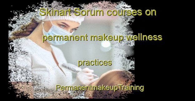 Skinart Sorum courses on permanent makeup wellness practices | PermanentmakeupTraining | PermanentmakeupClasses | SkinartTraining-Pakistan