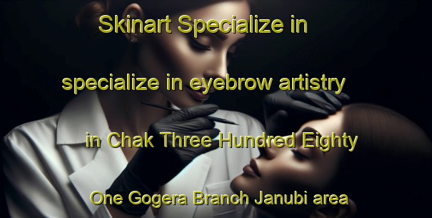 Skinart Specialize in specialize in eyebrow artistry in Chak Three Hundred Eighty One Gogera Branch Janubi area | EyebrowTraining | EyebrowClasses | SkinartTraining-Pakistan