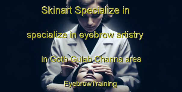Skinart Specialize in specialize in eyebrow artistry in Goth Gulab Channa area | EyebrowTraining | EyebrowClasses | SkinartTraining-Pakistan