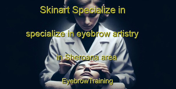 Skinart Specialize in specialize in eyebrow artistry in Sheroana area | EyebrowTraining | EyebrowClasses | SkinartTraining-Pakistan