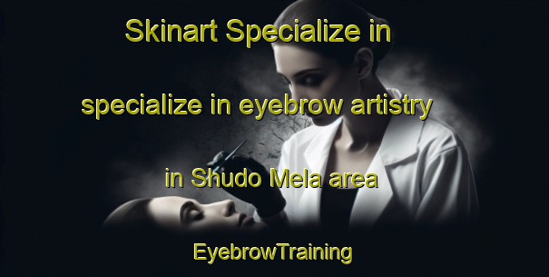 Skinart Specialize in specialize in eyebrow artistry in Shudo Mela area | EyebrowTraining | EyebrowClasses | SkinartTraining-Pakistan