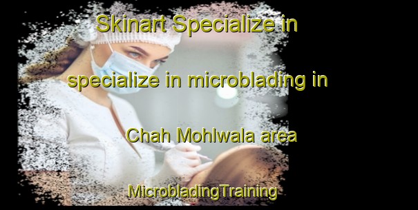 Skinart Specialize in specialize in microblading in Chah Mohlwala area | MicrobladingTraining | MicrobladingClasses | SkinartTraining-Pakistan