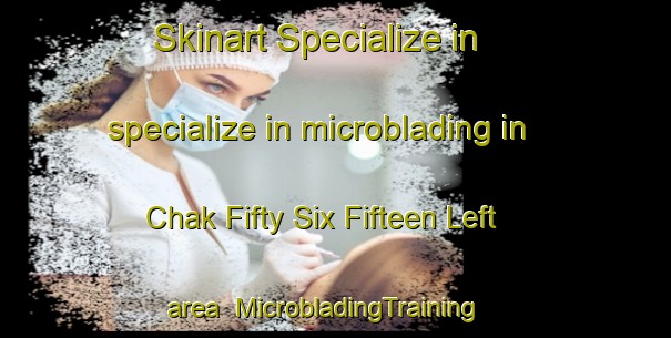 Skinart Specialize in specialize in microblading in Chak Fifty Six Fifteen Left area | MicrobladingTraining | MicrobladingClasses | SkinartTraining-Pakistan
