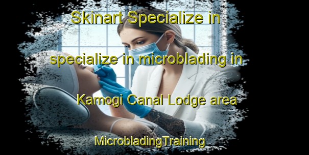 Skinart Specialize in specialize in microblading in Kamogi Canal Lodge area | MicrobladingTraining | MicrobladingClasses | SkinartTraining-Pakistan