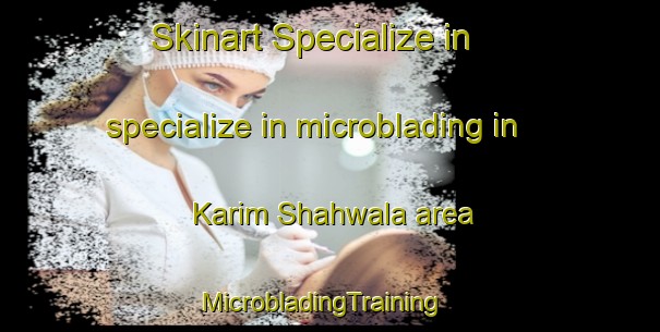 Skinart Specialize in specialize in microblading in Karim Shahwala area | MicrobladingTraining | MicrobladingClasses | SkinartTraining-Pakistan