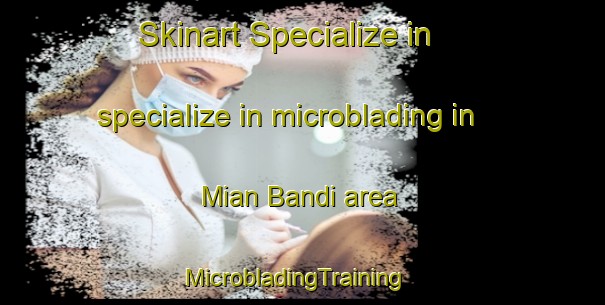 Skinart Specialize in specialize in microblading in Mian Bandi area | MicrobladingTraining | MicrobladingClasses | SkinartTraining-Pakistan