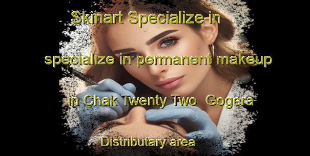 Skinart Specialize in specialize in permanent makeup in Chak Twenty Two  Gogera Distributary area | PermanentmakeupTraining | PermanentmakeupClasses | SkinartTraining-Pakistan