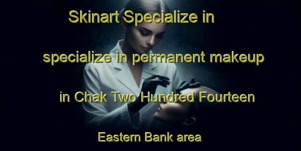 Skinart Specialize in specialize in permanent makeup in Chak Two Hundred Fourteen Eastern Bank area | PermanentmakeupTraining | PermanentmakeupClasses | SkinartTraining-Pakistan