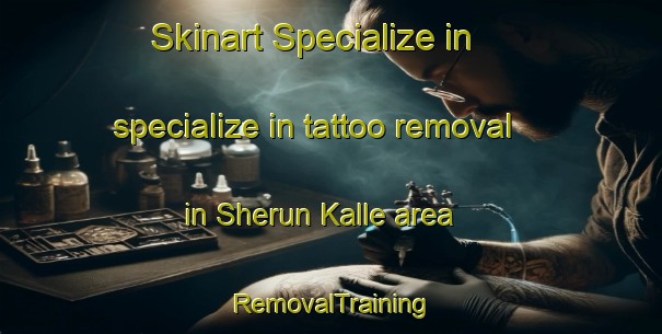 Skinart Specialize in specialize in tattoo removal in Sherun Kalle area | RemovalTraining | RemovalClasses | SkinartTraining-Pakistan