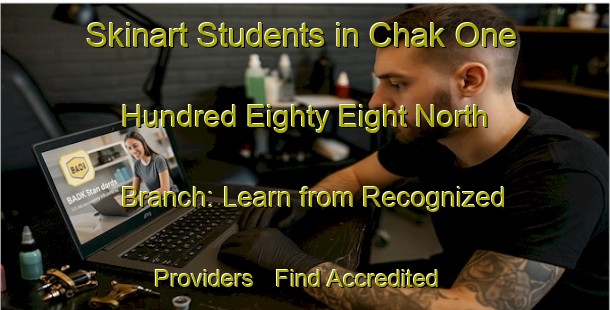 Skinart Students in Chak One Hundred Eighty Eight North Branch: Learn from Recognized Providers - Find Accredited Courses | Body Art Qualification Authority | BAQA-Pakistan