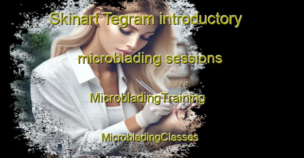Skinart Tegram introductory microblading sessions | MicrobladingTraining | MicrobladingClasses | SkinartTraining-Pakistan