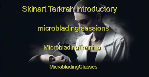 Skinart Terkrah introductory microblading sessions | MicrobladingTraining | MicrobladingClasses | SkinartTraining-Pakistan