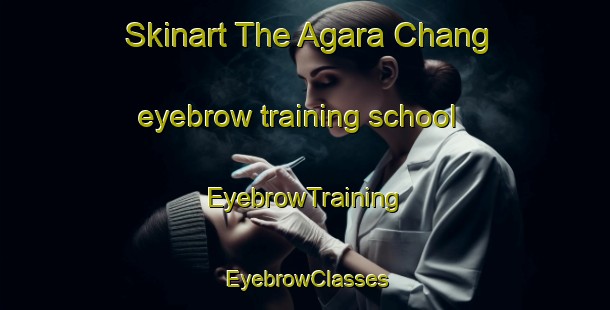 Skinart The Agara Chang eyebrow training school | EyebrowTraining | EyebrowClasses | SkinartTraining-Pakistan