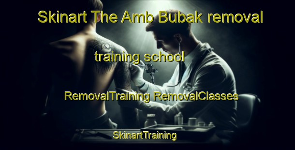 Skinart The Amb Bubak removal training school | #RemovalTraining #RemovalClasses #SkinartTraining-Pakistan