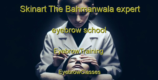 Skinart The Bahmanwala expert eyebrow school | EyebrowTraining | EyebrowClasses | SkinartTraining-Pakistan