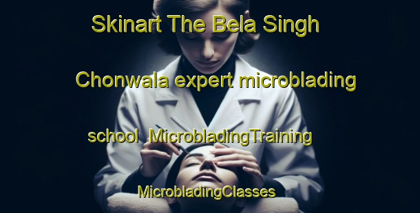 Skinart The Bela Singh Chonwala expert microblading school | MicrobladingTraining | MicrobladingClasses | SkinartTraining-Pakistan