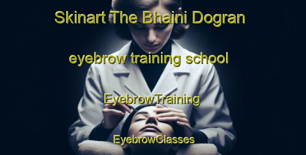 Skinart The Bhaini Dogran eyebrow training school | EyebrowTraining | EyebrowClasses | SkinartTraining-Pakistan