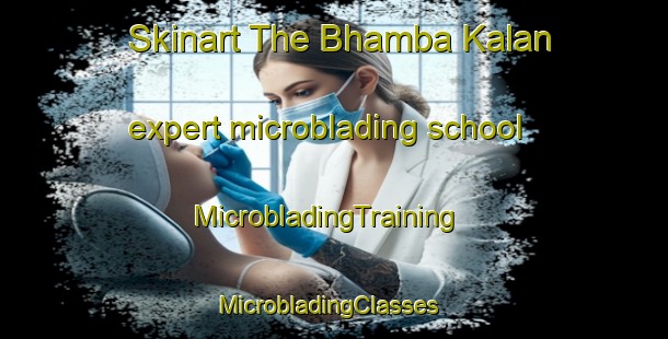 Skinart The Bhamba Kalan expert microblading school | MicrobladingTraining | MicrobladingClasses | SkinartTraining-Pakistan
