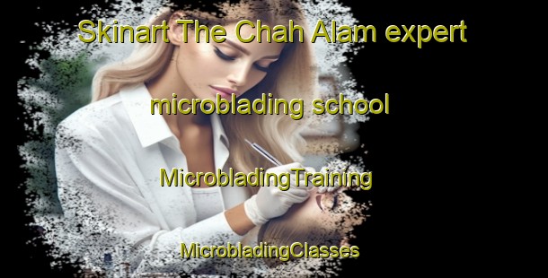 Skinart The Chah Alam expert microblading school | MicrobladingTraining | MicrobladingClasses | SkinartTraining-Pakistan