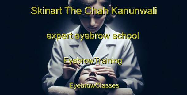 Skinart The Chah Kanunwali expert eyebrow school | EyebrowTraining | EyebrowClasses | SkinartTraining-Pakistan