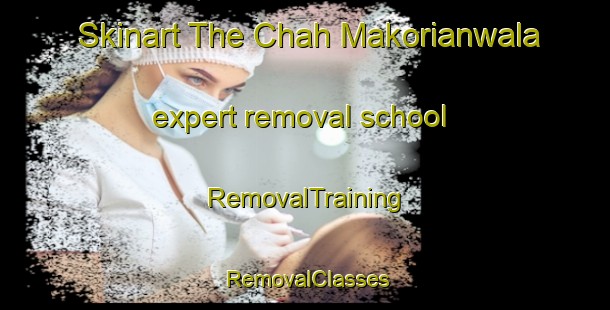 Skinart The Chah Makorianwala expert removal school | RemovalTraining | RemovalClasses | SkinartTraining-Pakistan