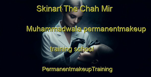 Skinart The Chah Mir Muhammadwala permanentmakeup training school | PermanentmakeupTraining | PermanentmakeupClasses | SkinartTraining-Pakistan