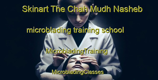 Skinart The Chah Mudh Nasheb microblading training school | MicrobladingTraining | MicrobladingClasses | SkinartTraining-Pakistan
