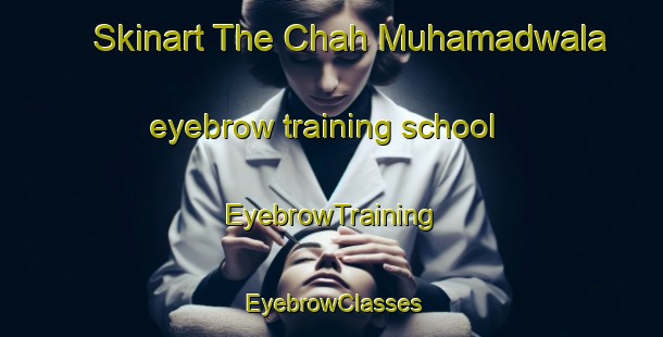 Skinart The Chah Muhamadwala eyebrow training school | EyebrowTraining | EyebrowClasses | SkinartTraining-Pakistan