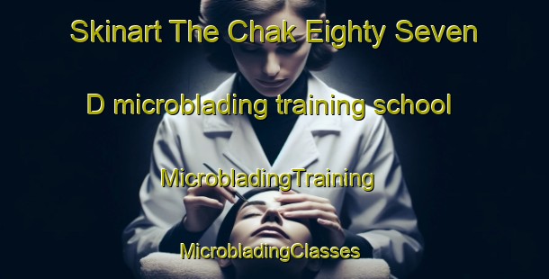 Skinart The Chak Eighty Seven D microblading training school | MicrobladingTraining | MicrobladingClasses | SkinartTraining-Pakistan