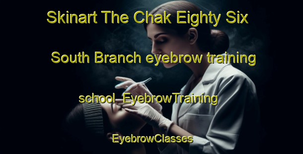 Skinart The Chak Eighty Six South Branch eyebrow training school | EyebrowTraining | EyebrowClasses | SkinartTraining-Pakistan