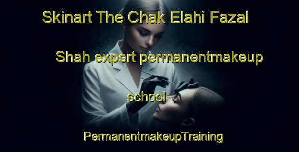 Skinart The Chak Elahi Fazal Shah expert permanentmakeup school | PermanentmakeupTraining | PermanentmakeupClasses | SkinartTraining-Pakistan