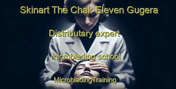 Skinart The Chak Eleven Gugera Distributary expert microblading school | MicrobladingTraining | MicrobladingClasses | SkinartTraining-Pakistan